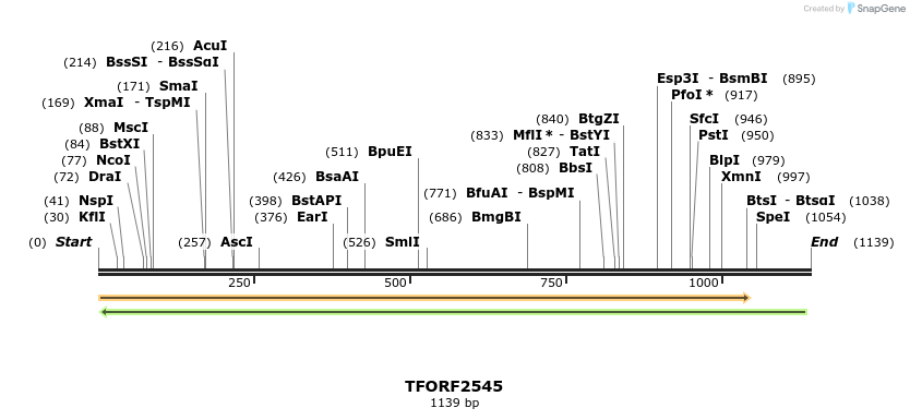284238_map