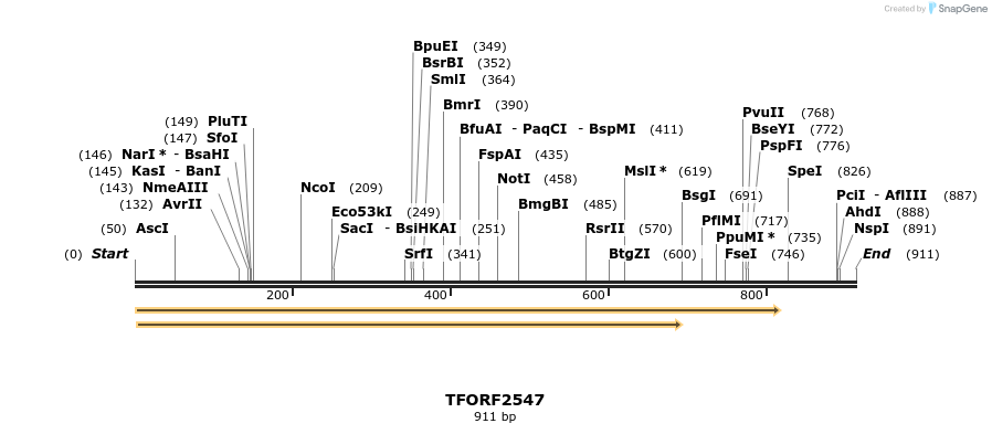 284241_map