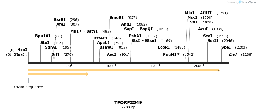 284247_map