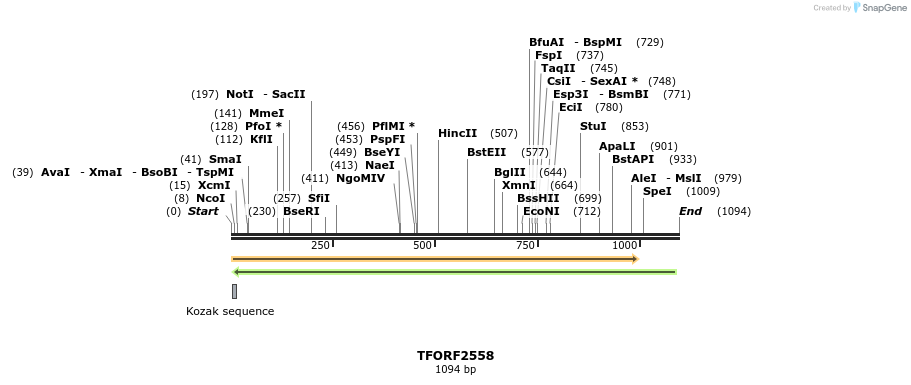 284253_map