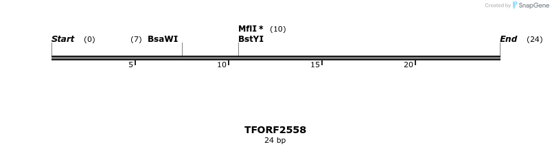 284254_map