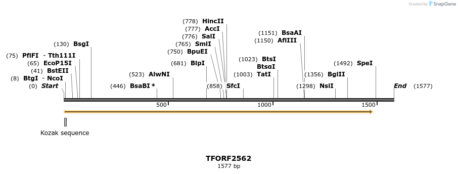 284256_map