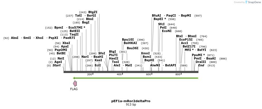28426_map