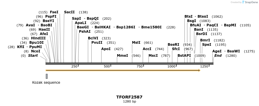 284265_map