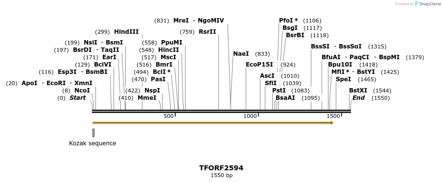 284268_map