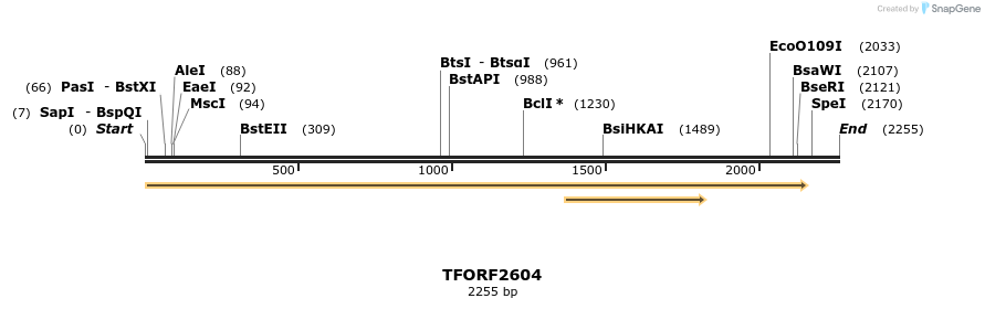284271_map