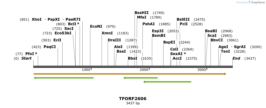 284274_map