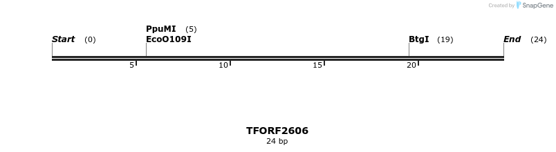 284275_map