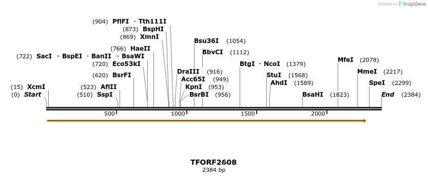 284277_map