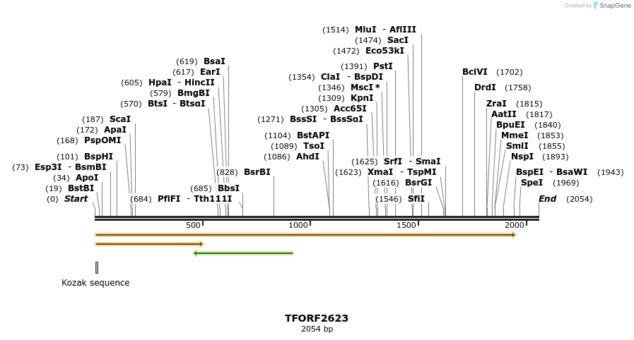 284283_map