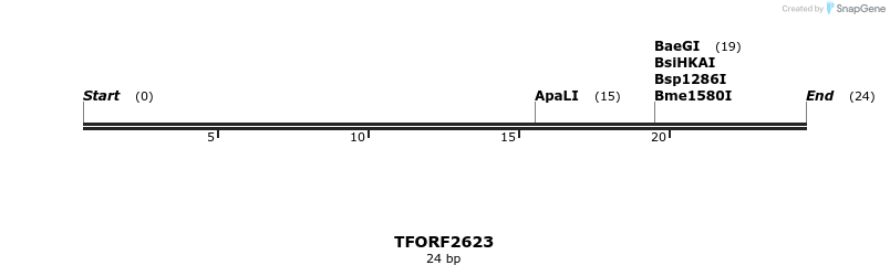 284284_map