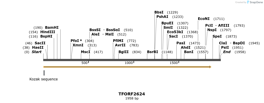 284286_map