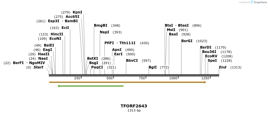 284289_map