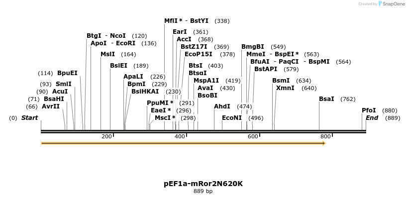 28429_map