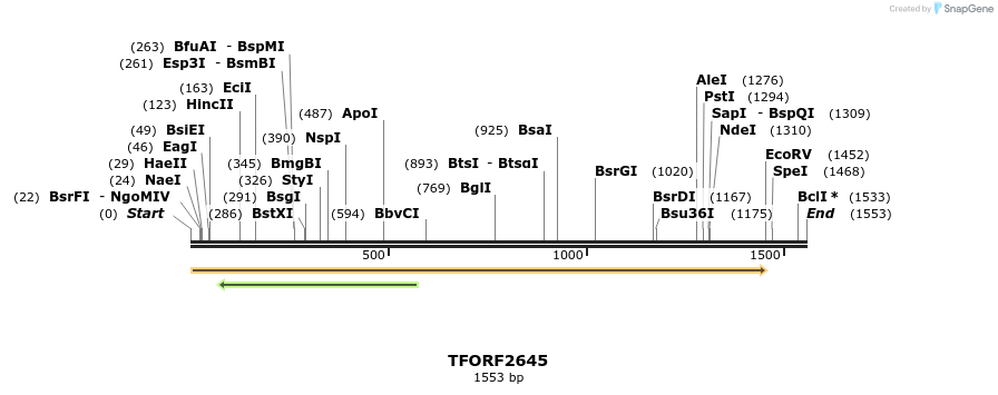 284292_map