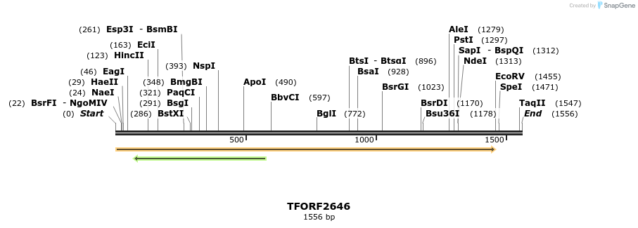284295_map