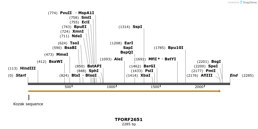 284298_map
