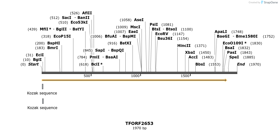 284301_map