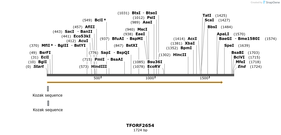 284304_map