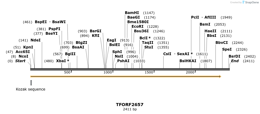 284307_map