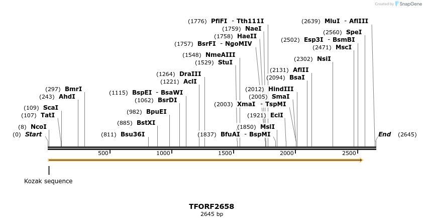 284310_map