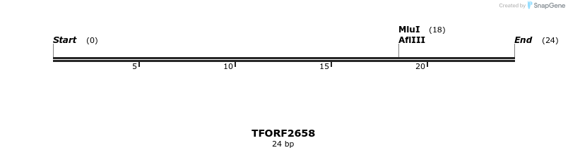 284311_map