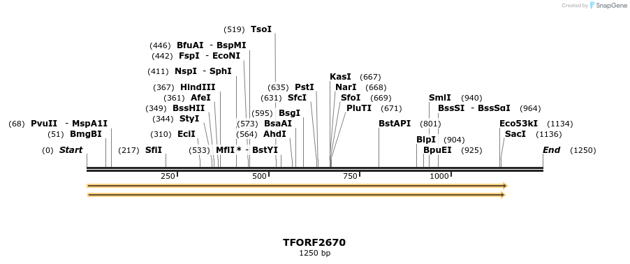 284313_map