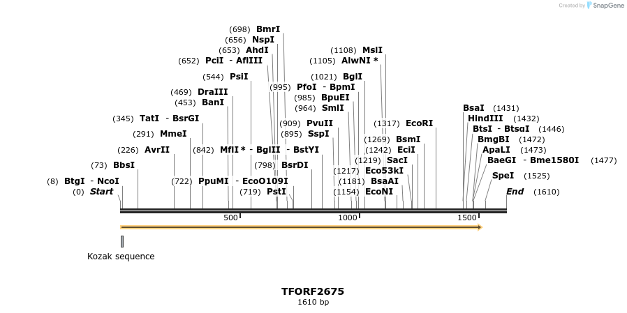 284316_map
