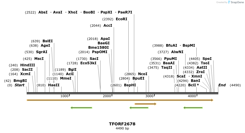 284319_map