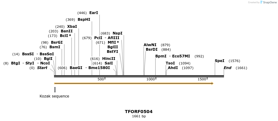 284325_map