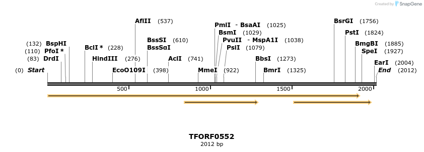 284328_map