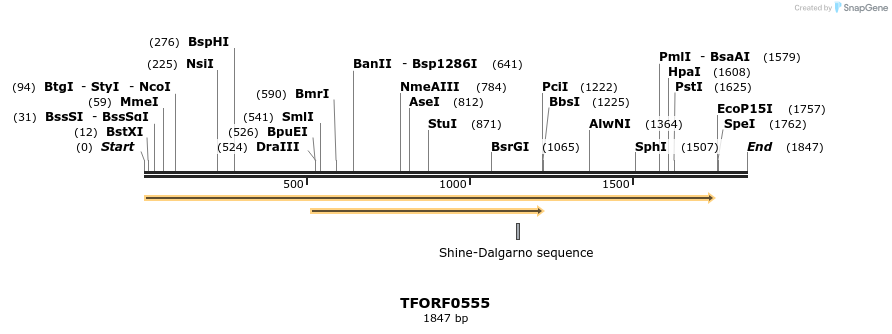 284331_map