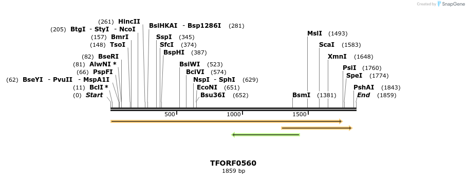 284334_map