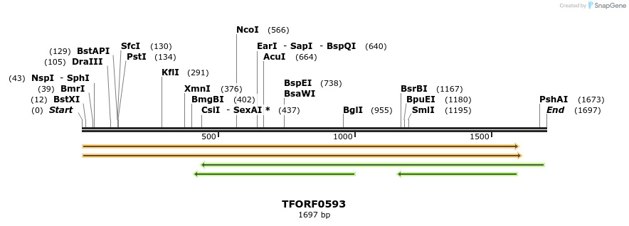 284337_map