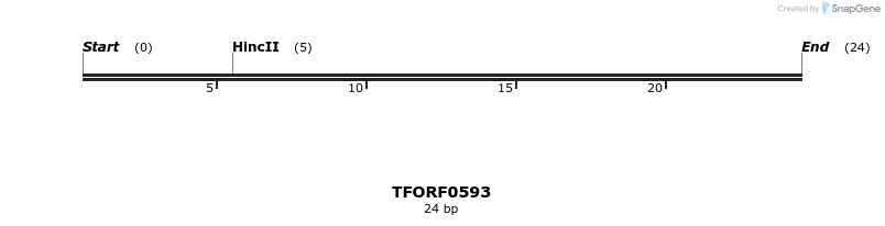 284338_map