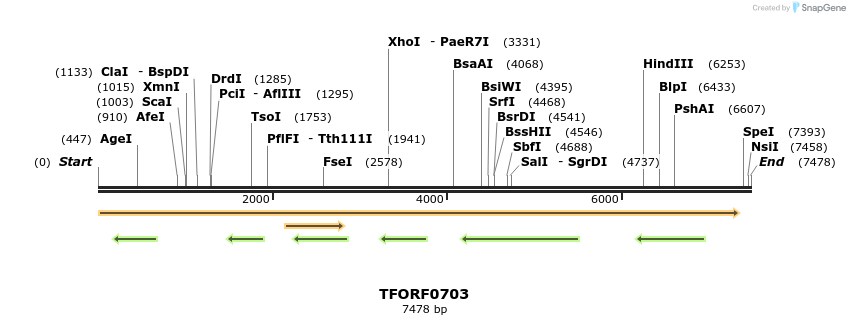 284340_map