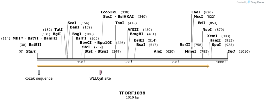 284349_map