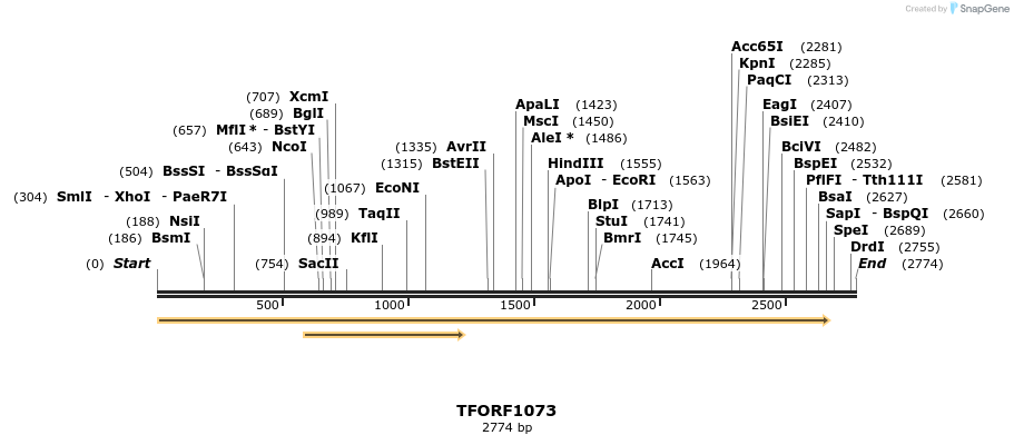 284355_map