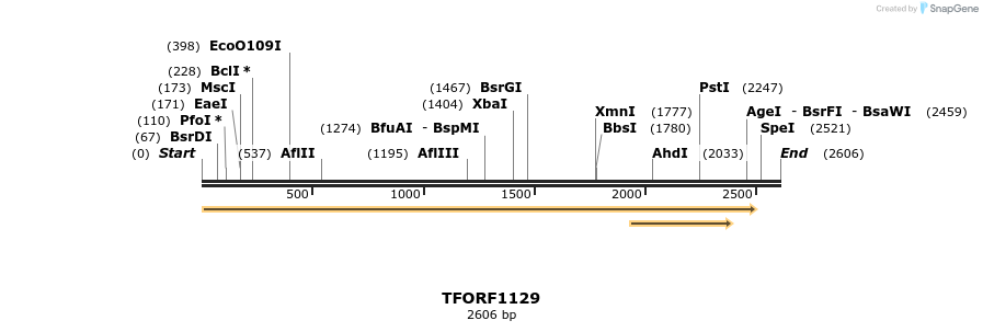 284361_map