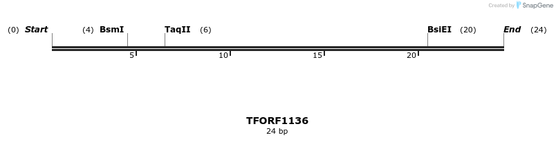 284365_map