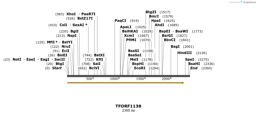 284367_map