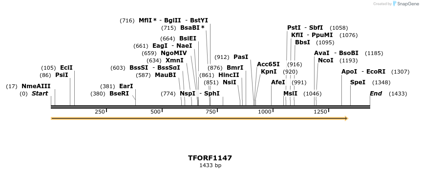 284370_map