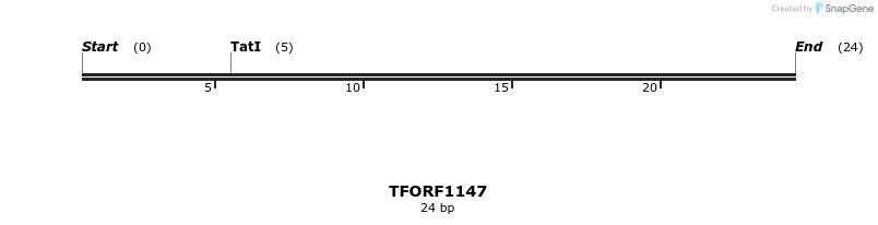 284371_map