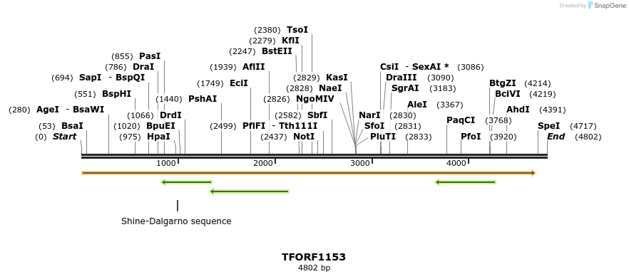284373_map