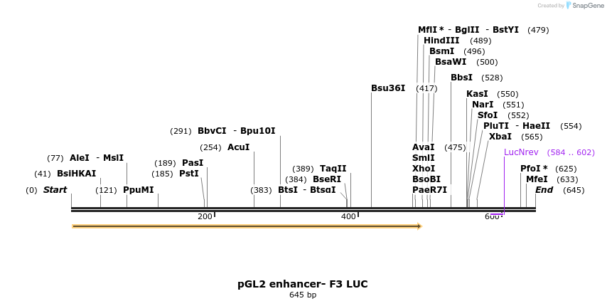 28438_map