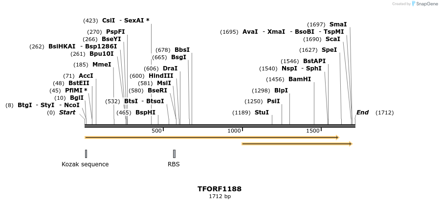 284382_map