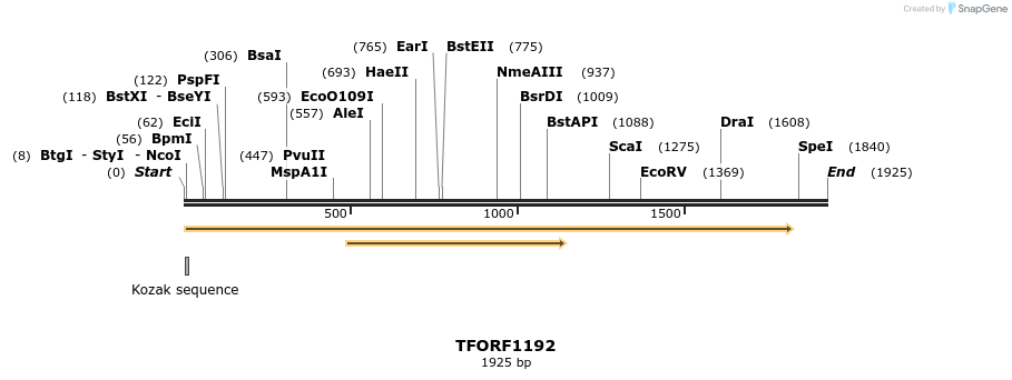 284385_map