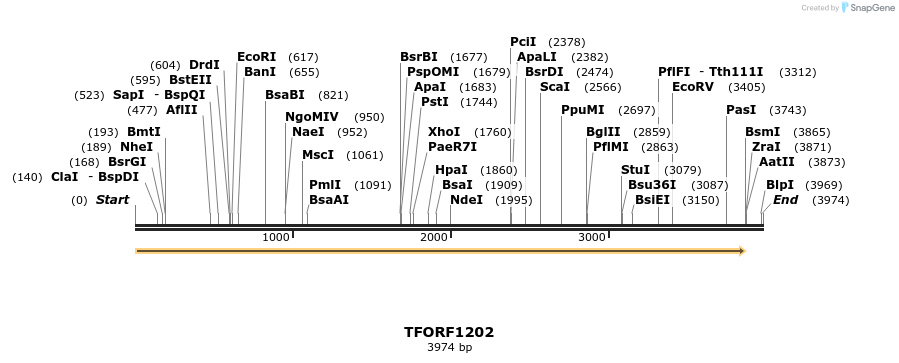284388_map