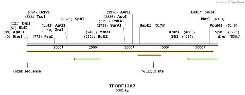 284391_map
