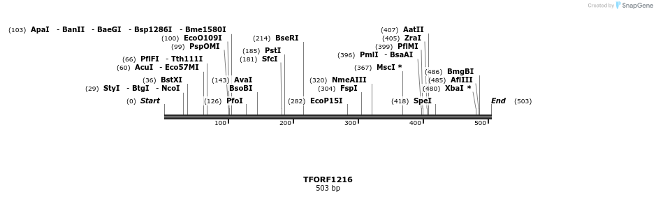 284394_map